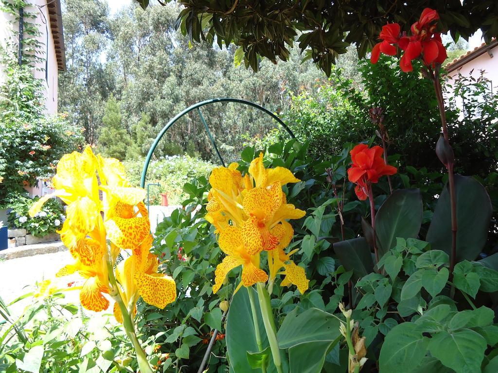 Quinta Do Vale Do Monte Guest House Viana do Castelo Eksteriør bilde
