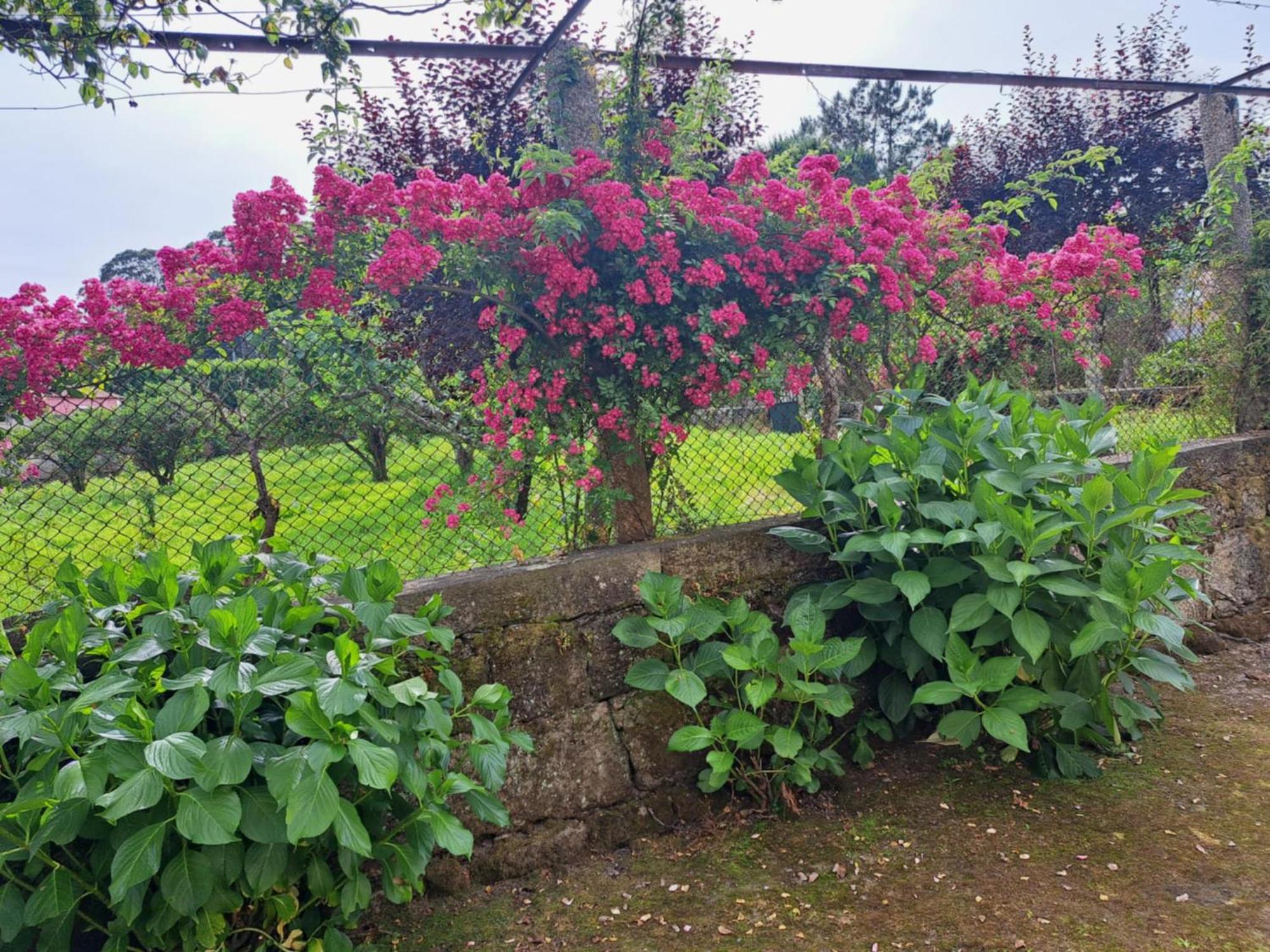 Quinta Do Vale Do Monte Guest House Viana do Castelo Eksteriør bilde