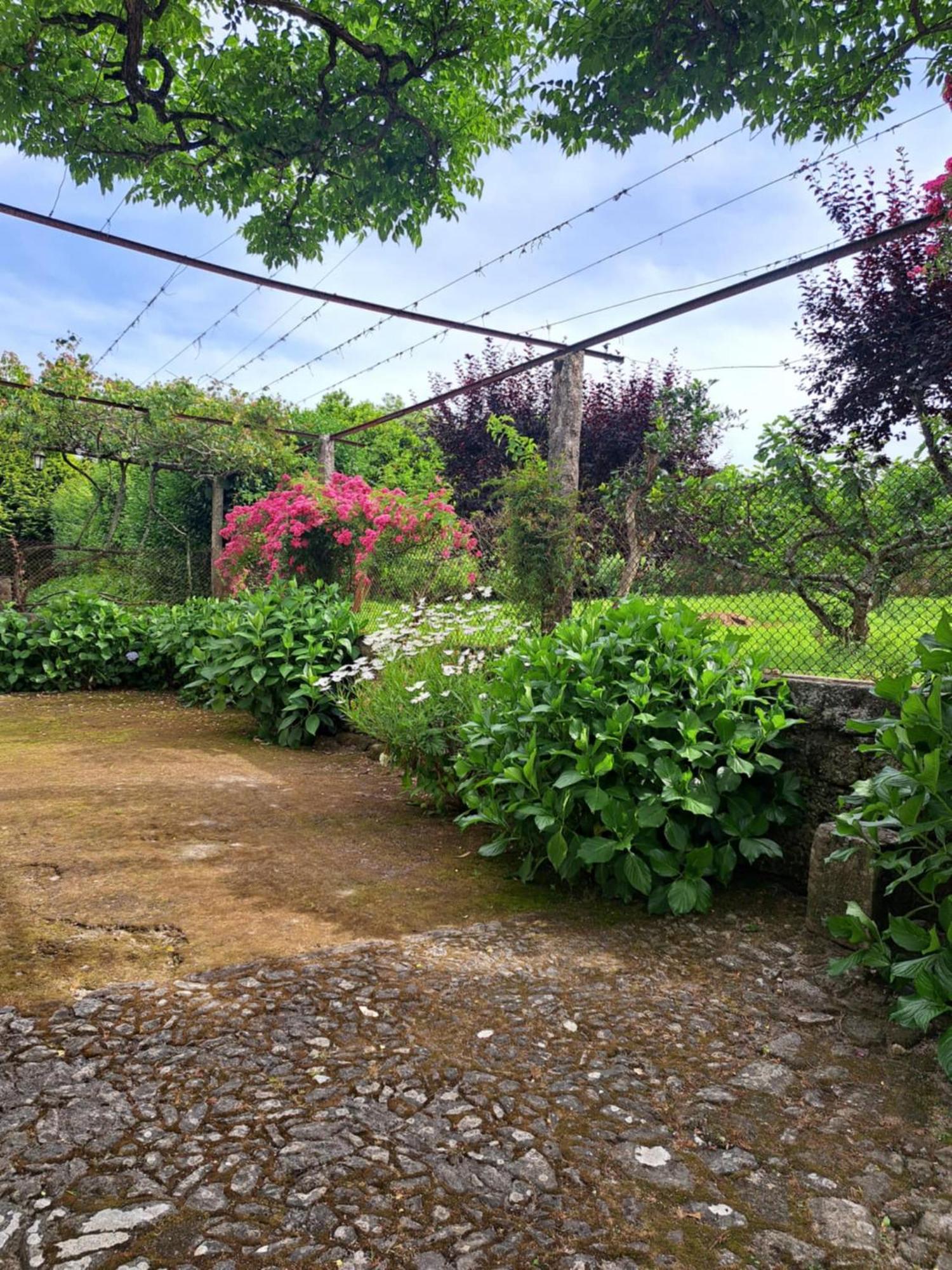 Quinta Do Vale Do Monte Guest House Viana do Castelo Eksteriør bilde