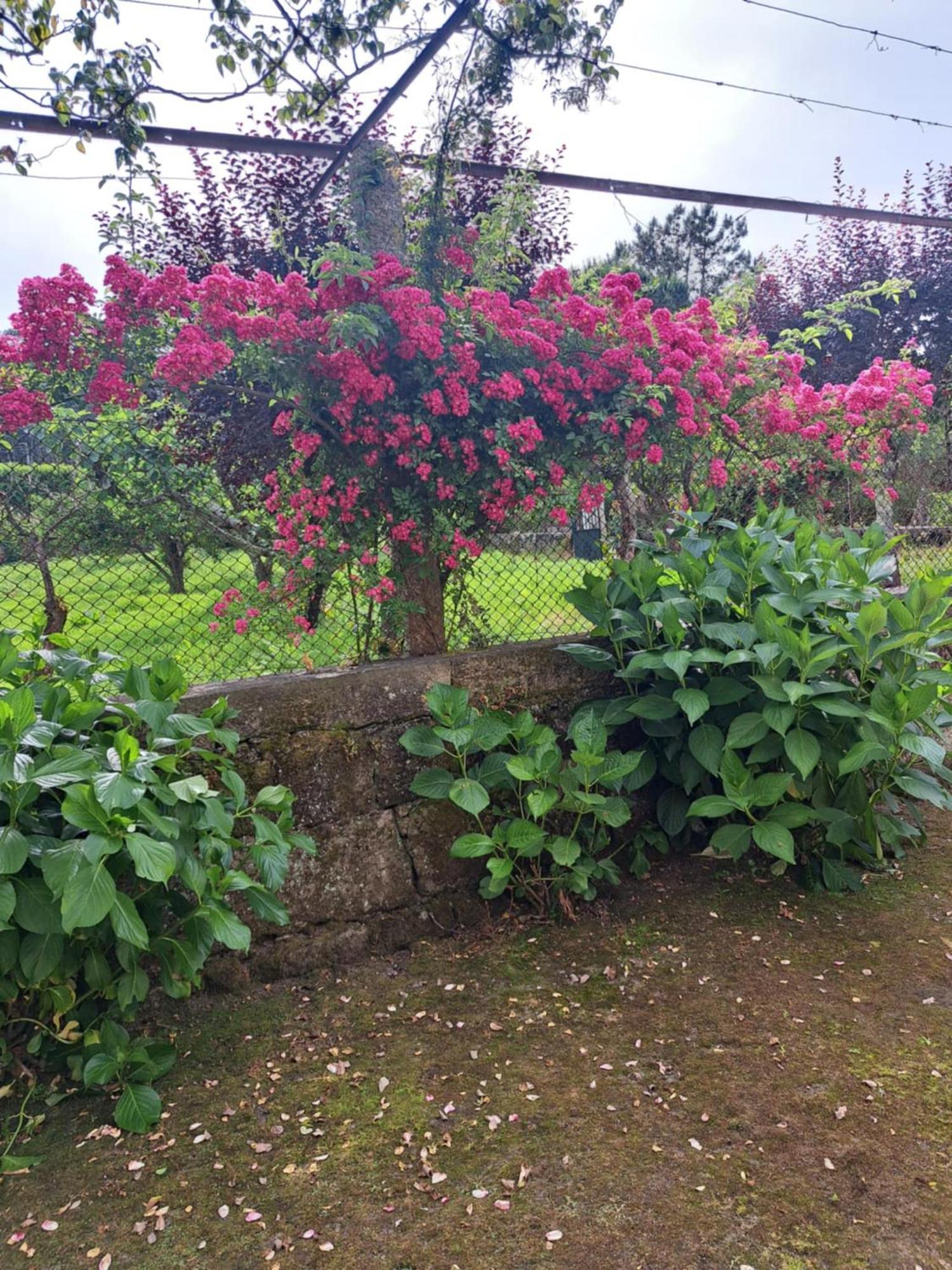 Quinta Do Vale Do Monte Guest House Viana do Castelo Eksteriør bilde