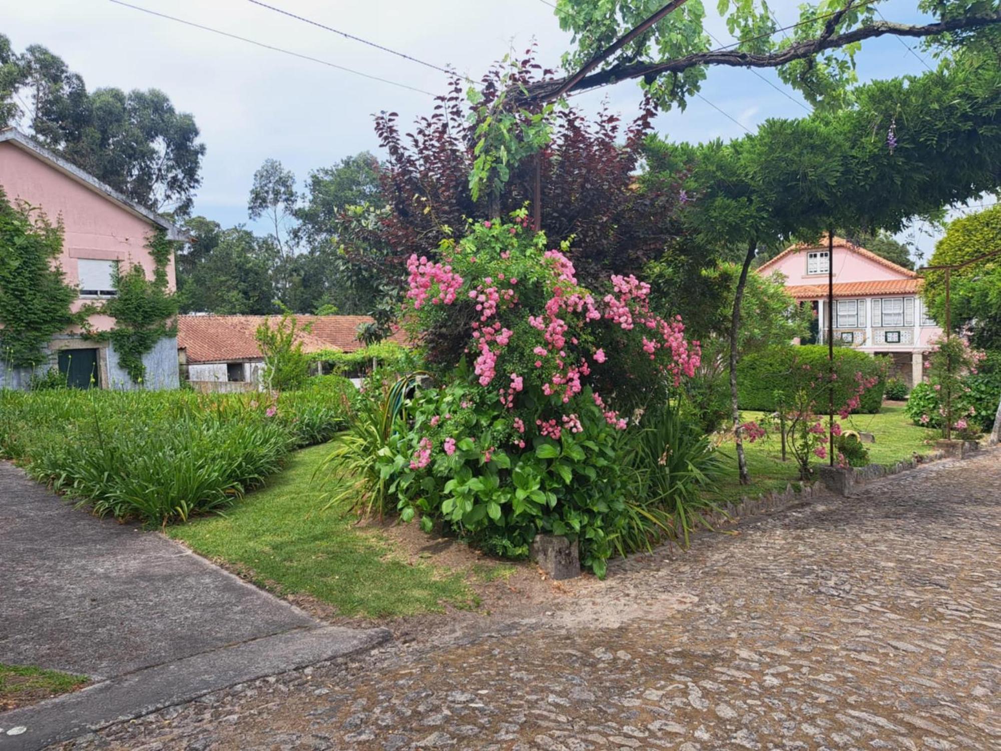 Quinta Do Vale Do Monte Guest House Viana do Castelo Eksteriør bilde